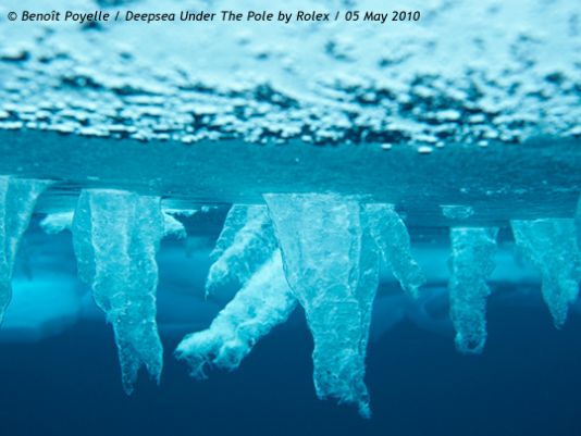 The decison of being air lifted has been taken some days ago : the ice pack is too chaotic this year and too broken into thousands of lead everywhere. It was impossible to progress as fast as foreseen int the beginning of the adventure.