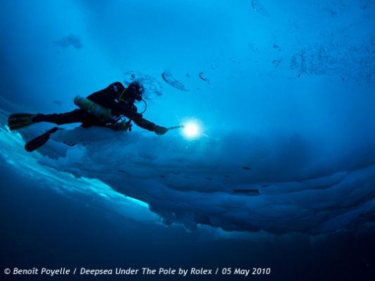 So while the team is awaiting the Ken Borek air planes, Bardout has decided to carryn on with the diving. Every day, the start a new session. And find new unbelievable submarine landscapes.