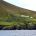 Some modern houses amongst the Great Blasket 