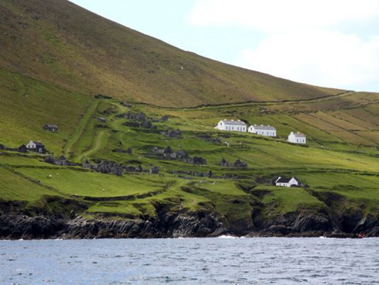 Some modern houses amongst the Great Blasket 
