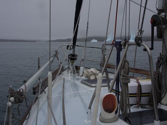 Landing  in Qaqortoq fjord next morning in quite waters, feeling home again!