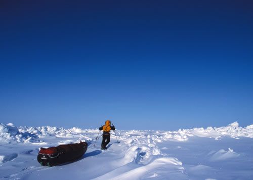 Dixie Dansercoer pulling his sledge