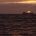 17 May 2011, first encounter with a cargo ship, at sunset. The 10 knot breeze has reappeared.