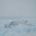 June7: the wild Arctic