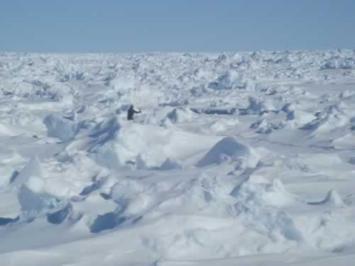 11 June: We're getting lost among the ice: Looking for the 'beast'!!!