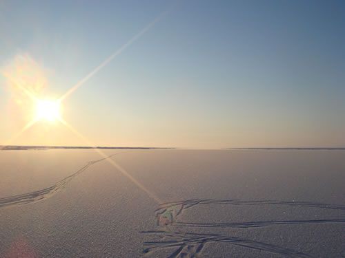 Tracks on pristine snow