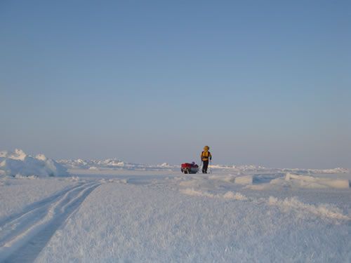 Lonesome Arctic explorer