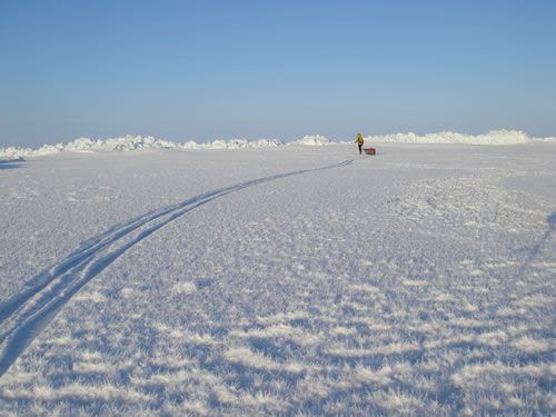 Snow cristals in the foreground