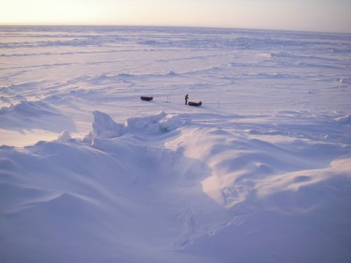 Seen from the top