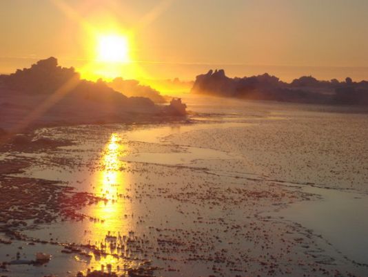 Beautiful Arctic landscapes