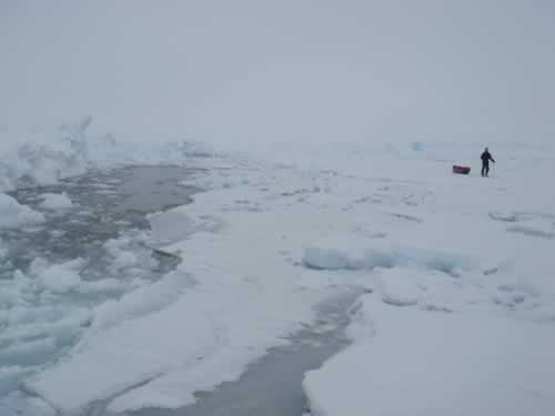 10 days after leaving the Pole, the open water leads have reappeared
