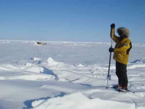 Every 4 days, they must take measurements for the ESA
