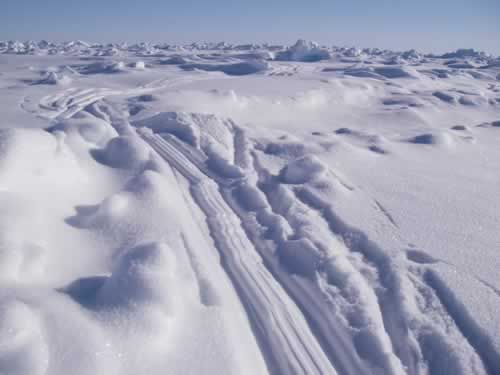 24 May: Deep tracks in the snow. Heavy snow slows down the sledges quite a lot