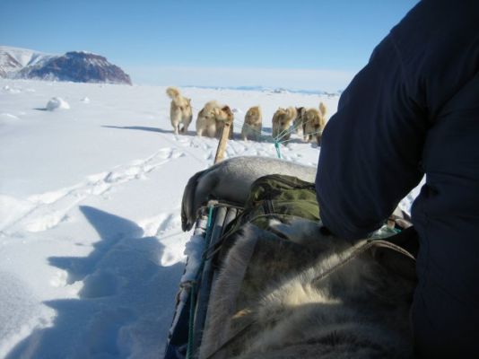 They were accompanied by two Inuit guides and huskies accompanying them up the glacier.
