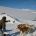 The Inuit guide accompanying them to the top of the glacier that gives access to Greenland's polar icecap is feeding the dogs.
