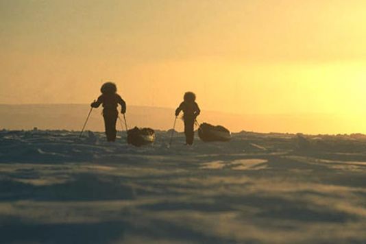 Monday February 25 / From their very first steps on the ice, the two men realised that the pack ice was not as firm as it looks. Yesterday evening, in the tent, after making a small reconnaissance of the ice by following fresh bears tracks - whereas they had been assured on Kotel'nyy Island that there were no polar bears in the area - the men heard the first 