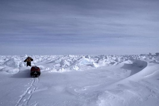 Sunday March 3 - DAY 7 / The two men continue to make slow progress - 6.1km today plus 2.34km of drift to the North during the night - because of the leads that surround them all the time (this evening still, they had to stop in front of a channel which appeared to be really difficult to cross). But their confidence remains sky high as their sail tests turned out to be increasingly conclusive.