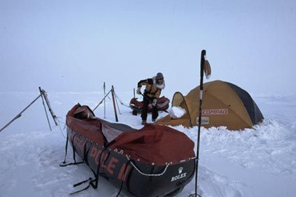 Saturday March 30 - DAY 34 / A big new fright today; while the pair, squatting on the catamaran, were being pushed back by a headwind when crossing a channel of about fifteen metres wide, they came nose to nose with a bear...