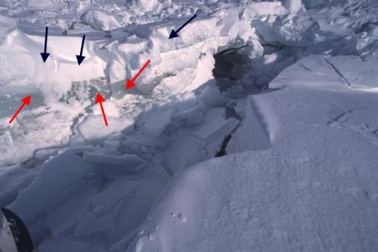 In this photograph one clearly sees the difference between the youngest ice (just a few weeks) and the older ice (one year at least). The younger ice is clearer in colour and is marked by black arrows; the older, just beneath, is marked by red arrows (see 2nd lesson in the following photograph).