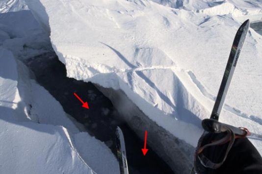 One can well see in this shot the thickness of the ice on the Arctic Ocean. It is the case that that below the level of water (the black part), there is again at least 4 times the thickness of the layer of immersed ice, that is to say, here, approximately 3.5m. According to the two men, this crack was probably produced just about an hour before they arrived.