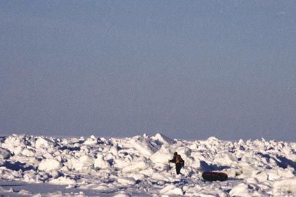 Monday April 22 - DAY 57 / While the pair was still struggling with the ice, at HQ, we were tossed about between the various scenarios that arose twice a day, always very different from one another. On one occasion, it was the Antonov II that couldn't fly for so many hours over ice-free water, and on another it was the MI8's that didn't have enough autonomy.