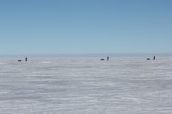 The teams on the ice