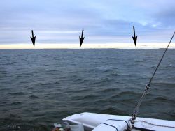 Their first ice in the Kara sea on 03 August