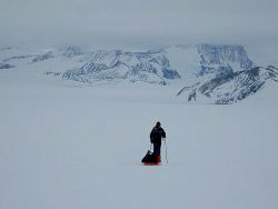 Lindsay pulling sledge