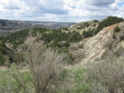 The rugged big sky topography of the North Dakota Badlands.