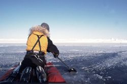 Paddling through a lead