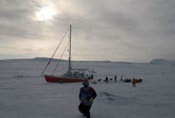 International Polar Foundation