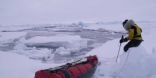 Arctic Arc: ice movements
