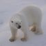 Arctic Arc: meeting a polar bear