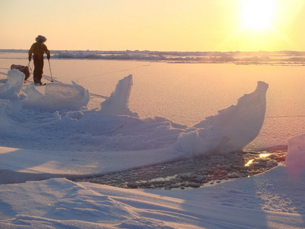 Gildea Damien - ExploraPoles - International Polar Foundation's adventure  website